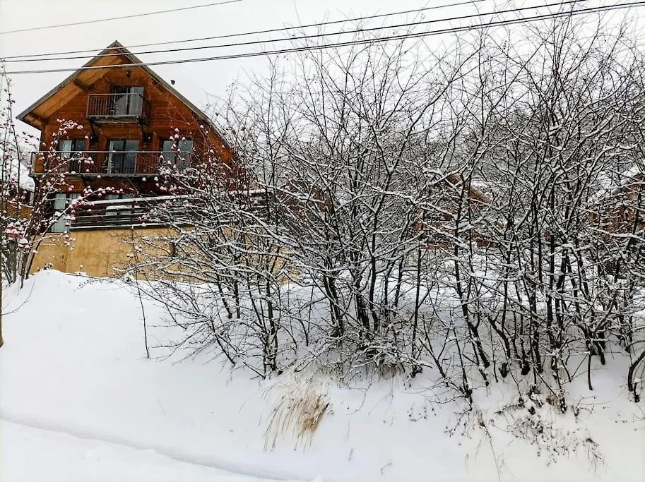 Apartment Appart T3 Avec Terrasse De 60M2 Chalet Le Coucou Allos France